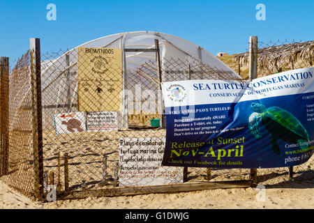 Protected enclosure on beach to help save sea turtles near Todos Santos, Baja Sur, Mexico. Stock Photo