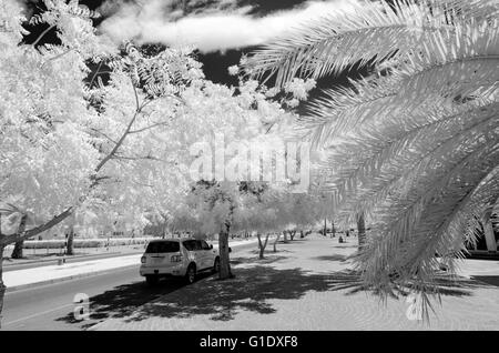 Infrared photograph in black and white of a car parkedon  an empty tree lined city street with a black sky and white clouds Stock Photo