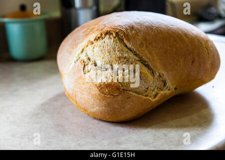 A mutant Shepard's loaf of home made bread Stock Photo