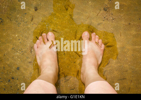 Natural fish spa therapy and foot massage. Stock Photo