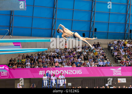 Aquatics Centre, Olympic Park, London, UK. 12th May 2016. Germany's Patrick Hausding, the most successful German diver in the Men's events with gold medals in 2010, 2011 and 2014, during his final round Forward 2 1/2 Somersaults 3 Twists Pike. Russia's Evgeny Cuznetsov takes gold, whilst British local hero Jack Laugher wins silver and Ukraine's Illya Kvasha wins the bronze medal in the Diving Men’s 3m Springboard Final Credit:  Imageplotter News and Sports/Alamy Live News Stock Photo