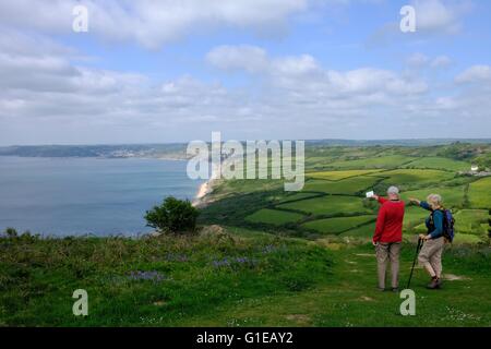 Golden Cap, Dorset, UK. 14 May 2016. Walkers on the South West Coastal Path overlooking Lyme Bay as warm weather returns to the south west Credit: © Tom Corban/Alamy Live News  Stock Photo