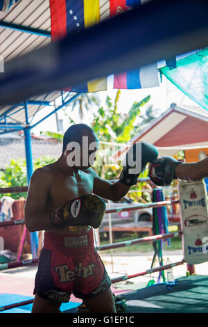 KO PHA NGAN, THAILAND -  FEBRUARY 12, 2016: Unidentified Thai boxer fighting in the ring. Muay Thai is a combat sport of Thailan Stock Photo