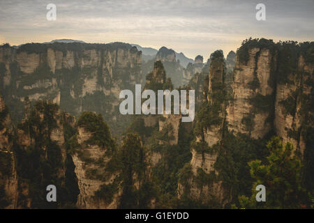 Zhangjiajie national forest park in Central China. Famed for inspiring Avatar Stock Photo