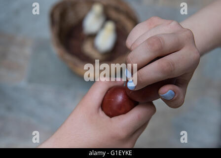 Two hands holding red Easter eggs trying to crack the eggs to find the winner. Traditional easter competition. Stock Photo