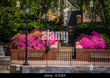 Spring color along the Riverfront Canal Walk in Richmond, Virginia. Stock Photo