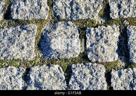 Antique cobblestone road shined bright sun. Background Stock Photo