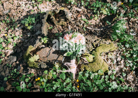 The light pink and green groom's boutonniere is lying on nature background Stock Photo