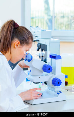 MODEL RELEASED. Lab technician using microscope. Stock Photo