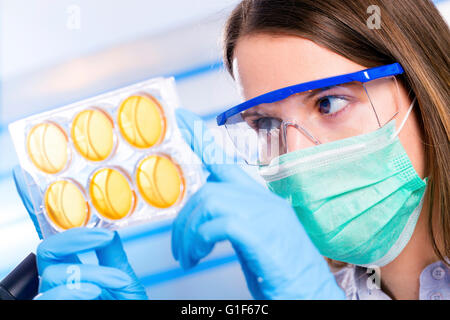 MODEL RELEASED. Female lab technician holding petri dishes. Stock Photo