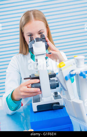 MODEL RELEASED. Laboratory assistant using microscope. Stock Photo