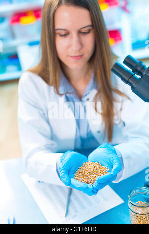 MODEL RELEASED. Female laboratory technician wearing latex gloves holding legumes in cupped hands. Stock Photo