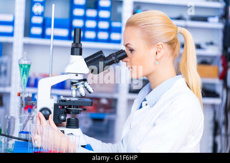 MODEL RELEASED. Female scientist using microscope in the laboratory. Stock Photo