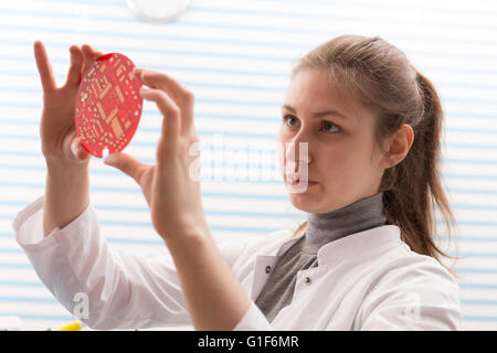 MODEL RELEASED. Female technician holding electrical component in the laboratory. Stock Photo