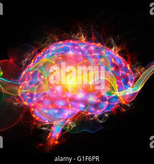 Human brain, illustration. Stock Photo