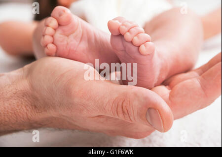 MODEL RELEASED. Parent holding newborn baby's feet. Stock Photo