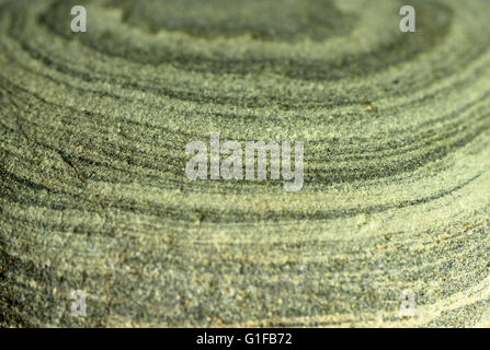 sedimentary bands in Welsh green sandstone Stock Photo