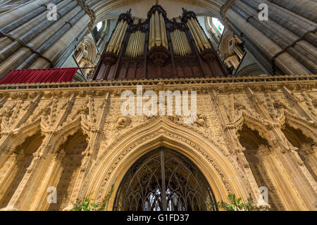 Carved stone screen below the organ pipes divide the nave and choir, Lincoln Cathedral , Lincoln, Lincolnshire, England, UK Stock Photo