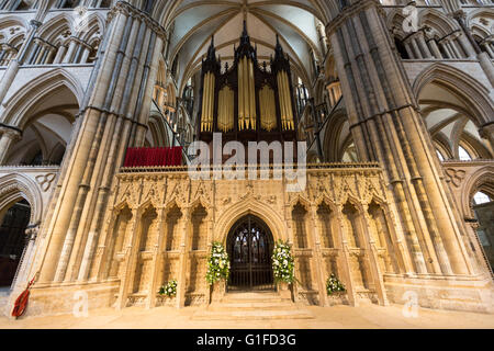 Carved stone screen below the organ pipes divide the nave and choir, Lincoln Cathedral , Lincoln, Lincolnshire, England, UK Stock Photo