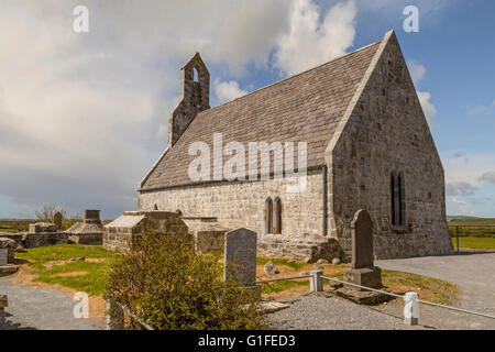 Temple-na-Griffin, a 15th-century church, north-west of Ardfert Cathedral, near Tralee, County Kerry, Munster Province, Ireland. Stock Photo
