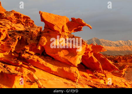 Little Finland 'monster' sandstone formation with beautiful orange sunset at Gold Butte near Mesquite, Nevada Stock Photo
