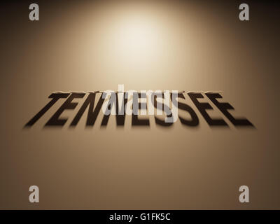 A 3D Rendering of the Shadow of an upside down text that reads Tennessee. Stock Photo