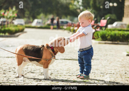 Boy is feeding the dog Stock Photo