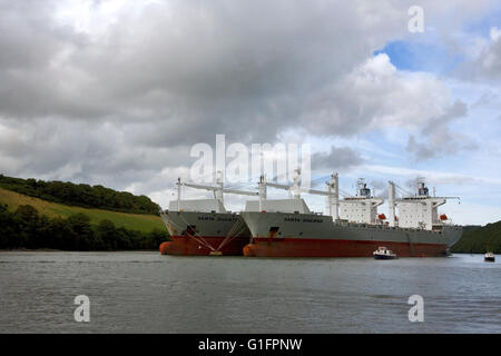 River Fal above King Harry Ferry at Tolverne, Cornwall, England, with two huge bulk freighters laid up on moorings in the river. Stock Photo