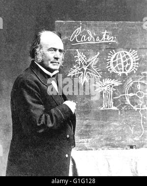 LOUIS AGASSIZ  (1807-1873)  Swiss-American biologist about 1870 Stock Photo