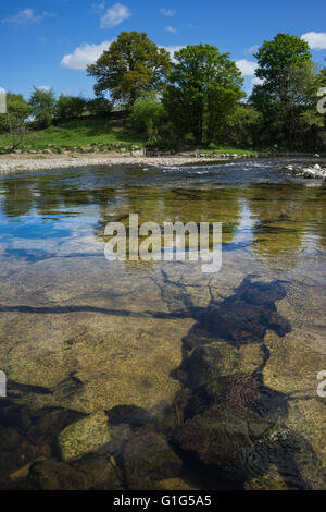 A wander around the River Kent near Kendal on a lovely sunny spring afternoon. Stock Photo