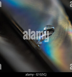 macro water drop rainbow Stock Photo