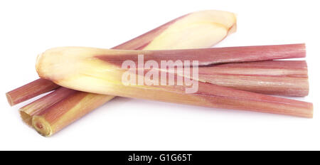 Lemongrass over white background Stock Photo