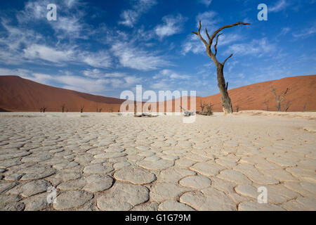 View of Dead valley in Namib desert, Sossusvlei, Namibia Stock Photo
