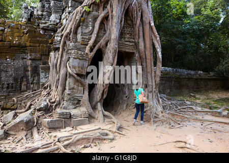 Distinctive strangler fig at Ta Som temple, Angkor, Siem Reap, Cambodia Stock Photo