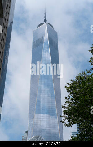 Atmospheric image of the World Trade Centre with part of a tree in front