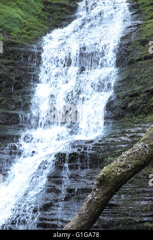 The Water Break its Neck waterfall in Warren Wood near New Radnor in the Radnor hills Radnorshire, Powys, Wales Stock Photo