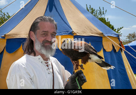 Rob Davis, (MR) falconer from Talonted Feathers, part of the re-enactment group Historia Normannis staging a 12th century medieval event with displays in Coronation Park, Ormskirk, Lancashire, UK. The event featured everyday life in the 12th century. Stock Photo