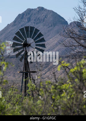 Windmill, Sam Nail Ranch, Ross Maxwell Scenic Drive, Big Bend National Park, Texas. Stock Photo