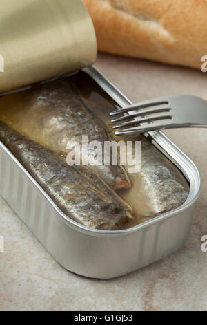 Open tin of sardines in oil Stock Photo