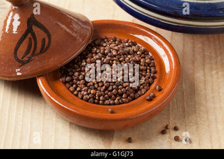 Bowl with raw Maniquette pepper Stock Photo