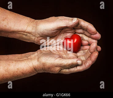 elderly woman keeping red heart in her palms isolated on dark background, symbol of care and love Stock Photo