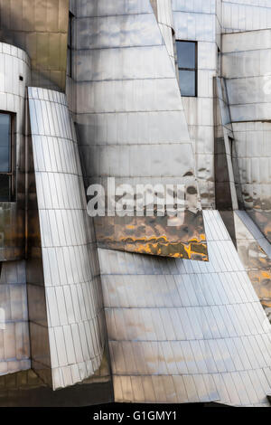 Detail of Frederick R. Wiseman Art Museum, University of Minnesota, Minneapolis. Designed by Frank Gehry Stock Photo