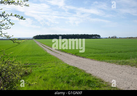 Gravel road surrounded of green fields in a rural landscape Stock Photo