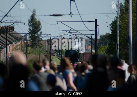 Chester le Street, UK, 14 May 2016. Crowds watching Flying Scotsman approaching Chester le Street station. Credit:  Colin Edwards / Alamy Live News Stock Photo