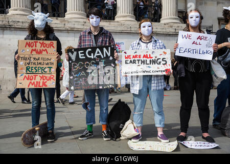 London, UK. 14th May, 2016. Vegan activists take part in an International  Earthlings Experience Day in Trafalgar Square, encouraging passing members  of the family to watch 'Earthlings', a 2005 American documentary film