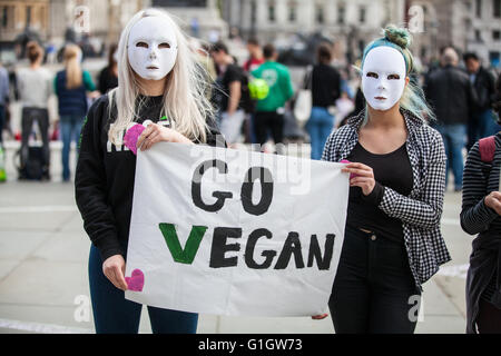 London, UK. 14th May, 2016. Vegan activists take part in an International Earthlings Experience Day in Trafalgar Square, encouraging passing members of the family to watch ’Earthlings’, a 2005 American documentary film about humanity's use of other animals as pets, food, clothing, entertainment, and for scientific research. Credit:  Mark Kerrison/Alamy Live News Stock Photo
