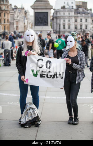 London, UK. 14th May, 2016. Vegan activists take part in an International Earthlings Experience Day in Trafalgar Square, encouraging passing members of the family to watch ’Earthlings’, a 2005 American documentary film about humanity's use of other animals as pets, food, clothing, entertainment, and for scientific research. Credit:  Mark Kerrison/Alamy Live News Stock Photo