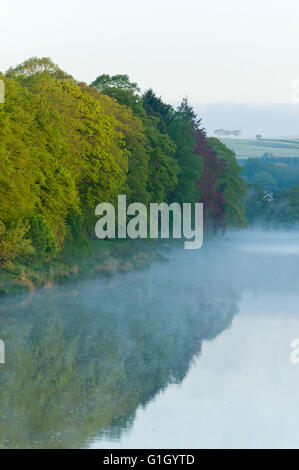 Builth Wells, Powys, Wales, UK. 15th May 2016. After an unseasonably cold night with temperatures dropping to around freezing, mist is seen rising over the River Wye at Builth Wells, Powys, Wales, UK. Credit:  Graham M. Lawrence/Alamy Live News. Stock Photo