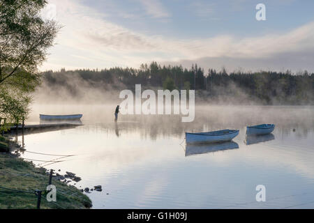 Loch Rusky, The Trossachs, Scotland, UK. 15th May, 2016. Dawn breaking over Loch Rusky, The Trossachs, Scotland, May 15th 2016 Credit:  John Potter/Alamy Live News