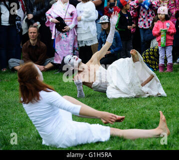 Hanami festival at Roihuvuori Cherry Park in Helsinki Finland 2022 Stock  Photo - Alamy